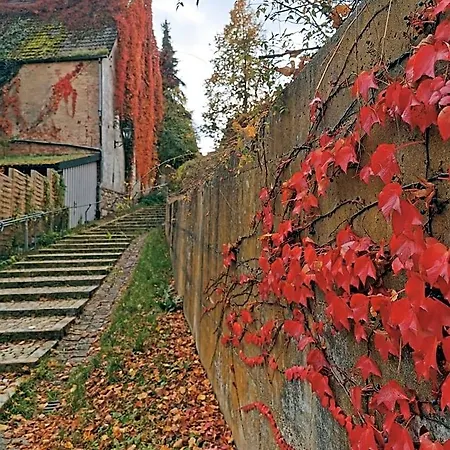 Gaestezimmer Reitinger Siegenburg